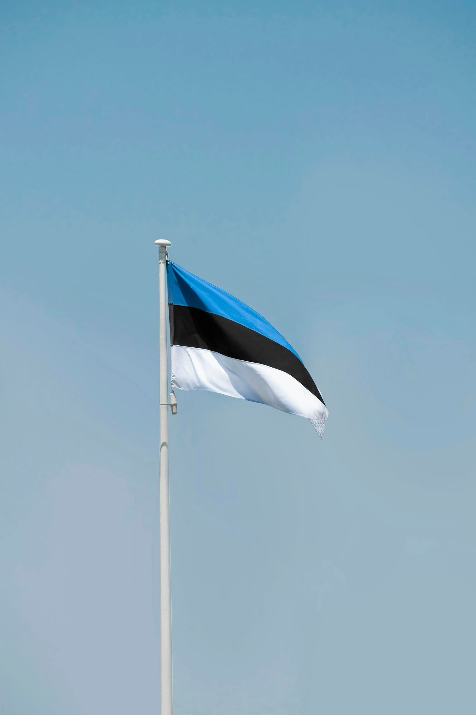 The National Flag of Estonia