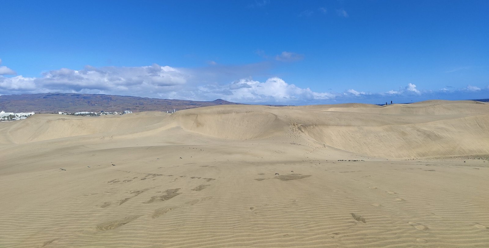 View of the Maspalomas Sand Dunes